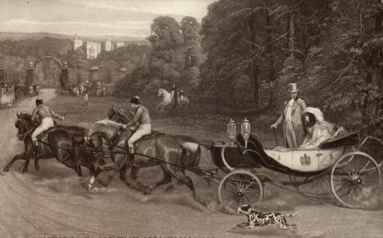 Carriage Dogs